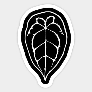 Anthurium forgetii Sticker